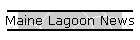 Maine Lagoon News